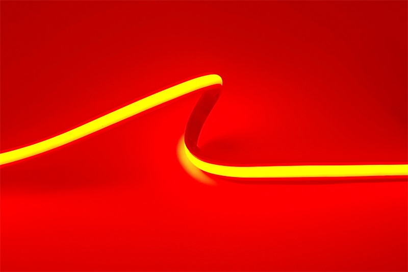 IMG_20250224_105518 IMG_20250224_105518